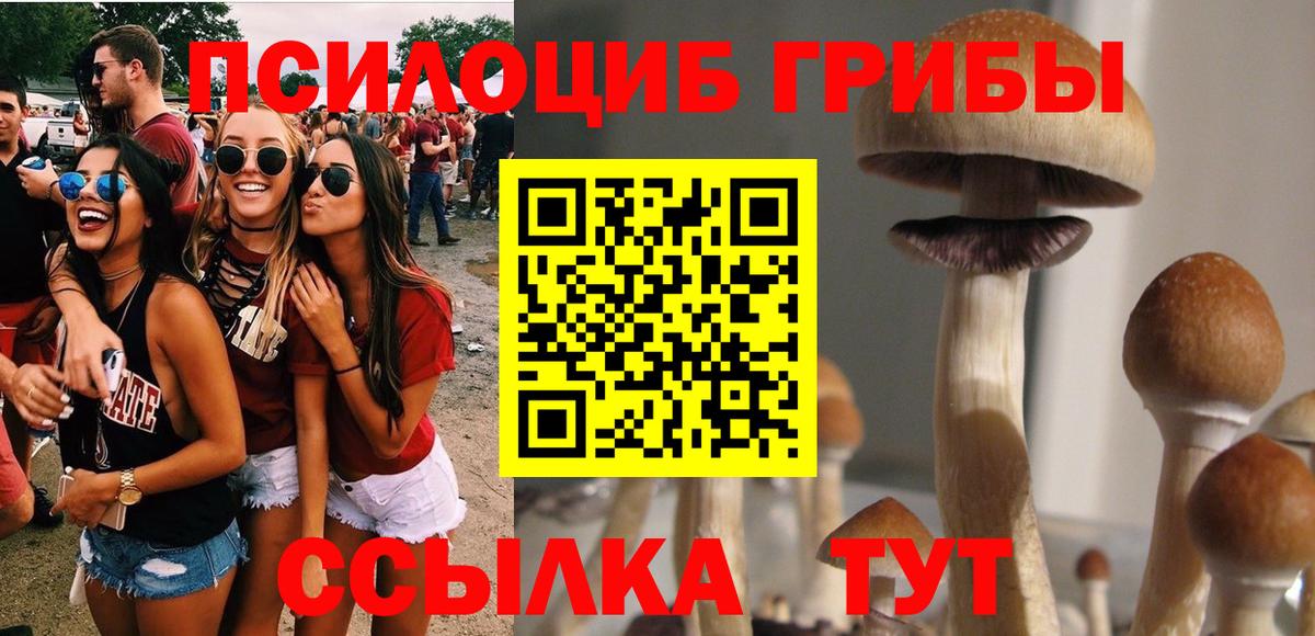 Галлюциногенные грибы Psilocybe Пыть-Ях